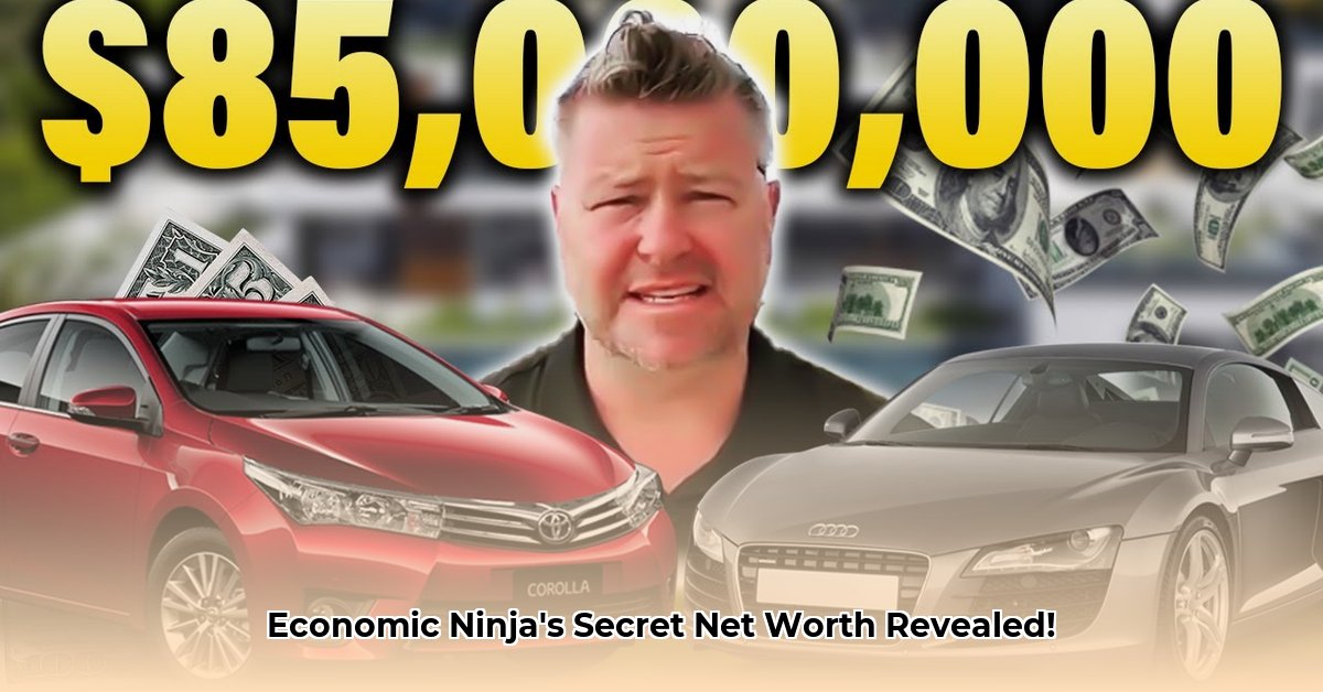 economic-ninja-net-worth